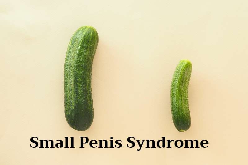 penis development for small penis