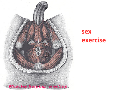 Kegel